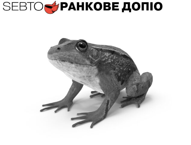 На сайт